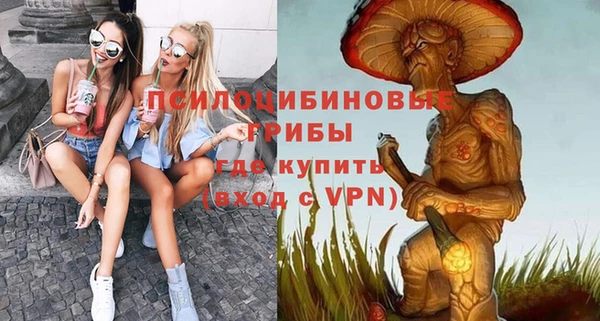 apvp Арсеньев