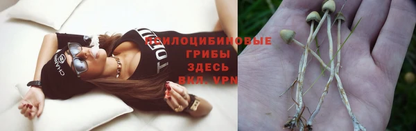 apvp Арсеньев