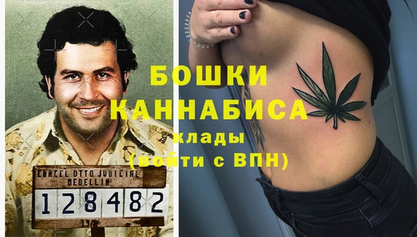 apvp Арсеньев