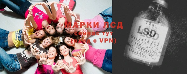apvp Арсеньев